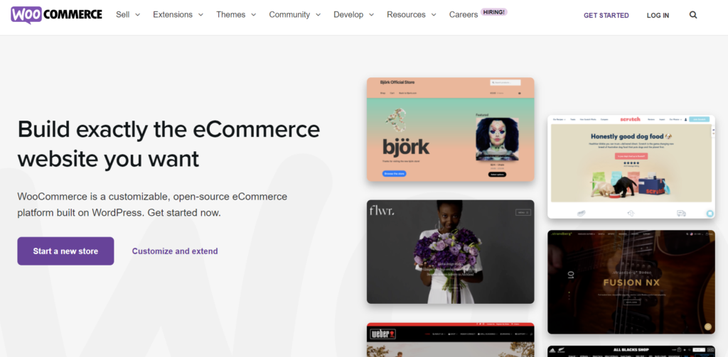 Woocommerce store